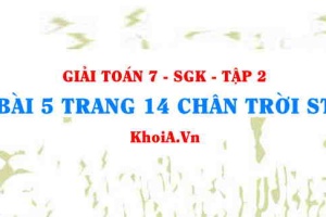 Bài 5 trang 14 Toán 7 Chân trời sáng tạo Tập 2